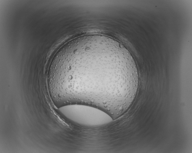X0000081490721200701121111