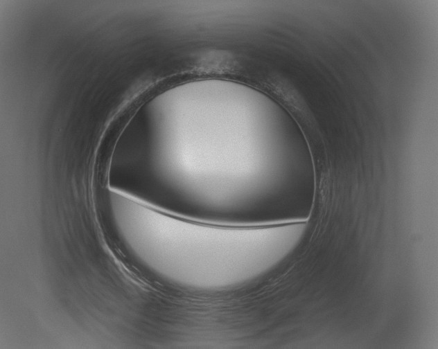 X0000081490722200701121111