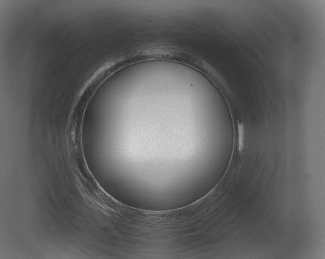 X0000081490723200701121111