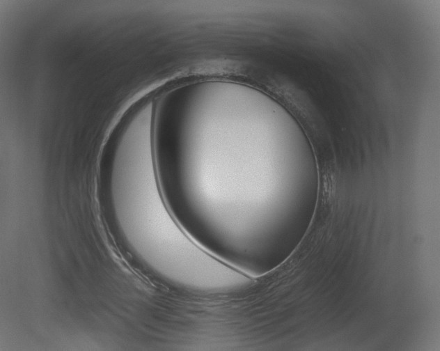 X0000081490724200701121111