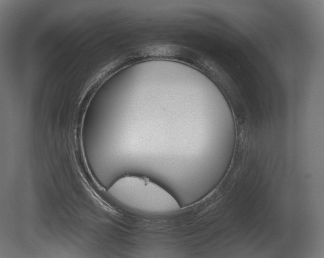 X0000081490725200701121111