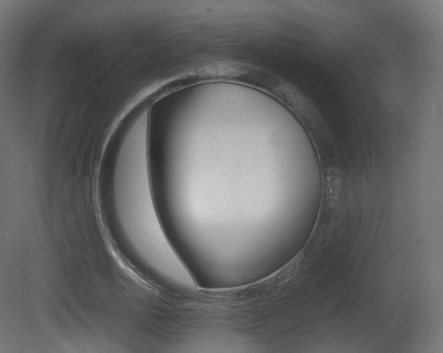 X0000081490726200701121111