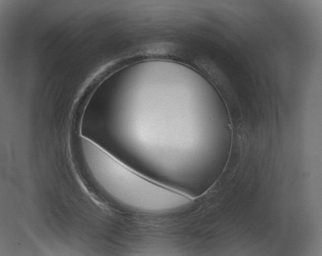 X0000081490728200701121111