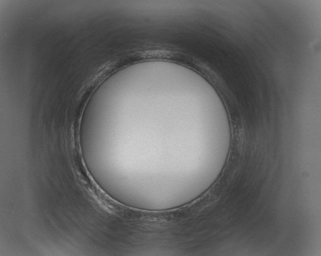 X0000081490729200701121111