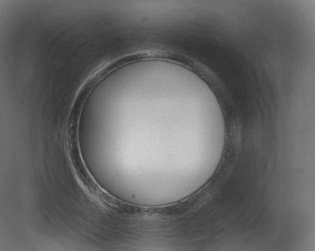 X0000081490730200701121111
