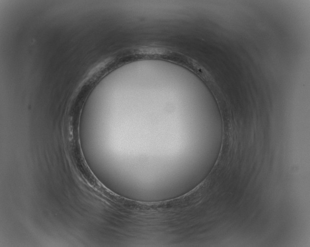 X0000081490731200701121111