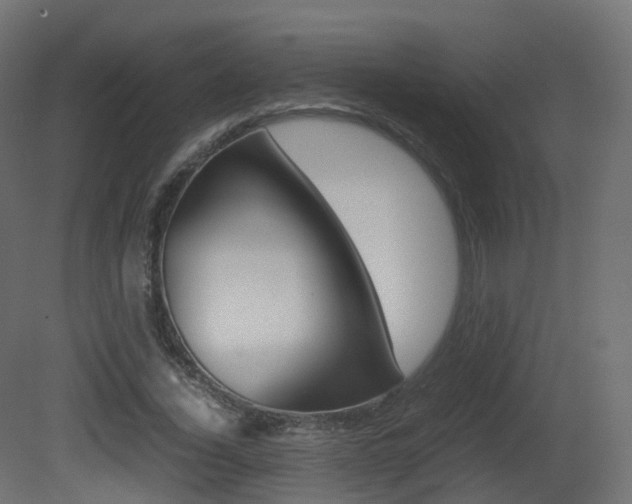 X0000081490732200701121111