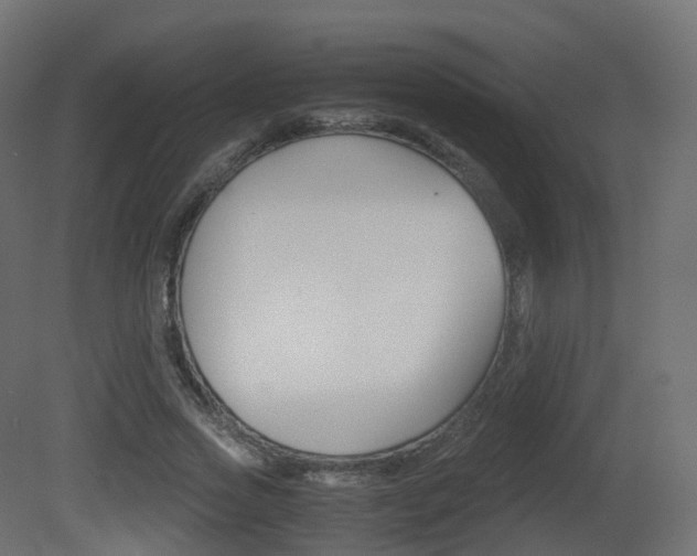 X0000081490733200701121111