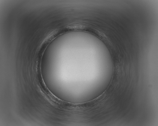 X0000081490735200701121111