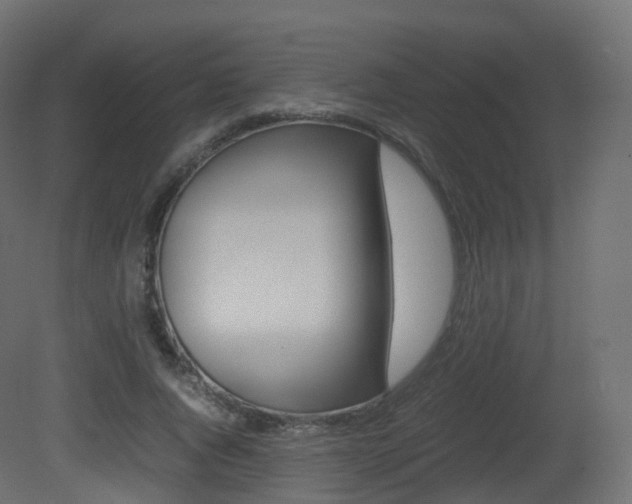 X0000081490736200701121111