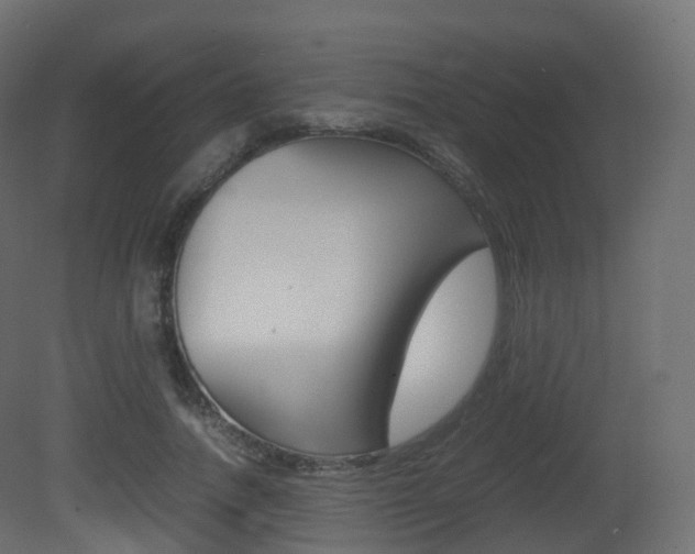 X0000081490738200701121112