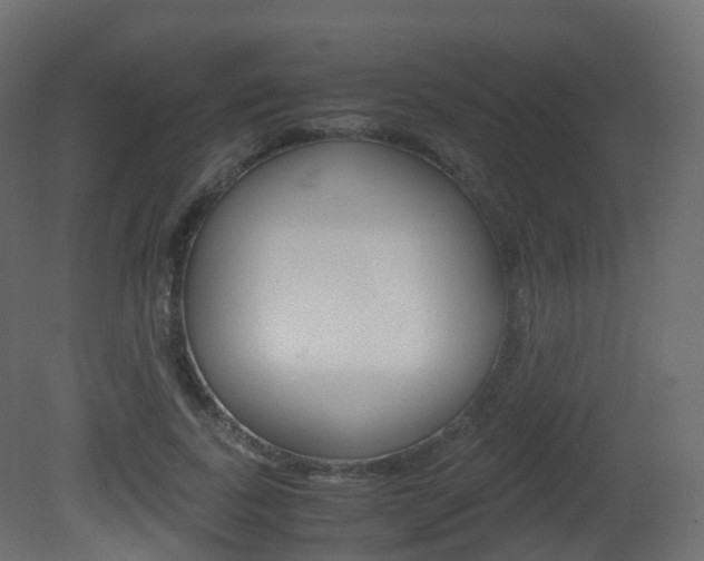 X0000081490739200701121112