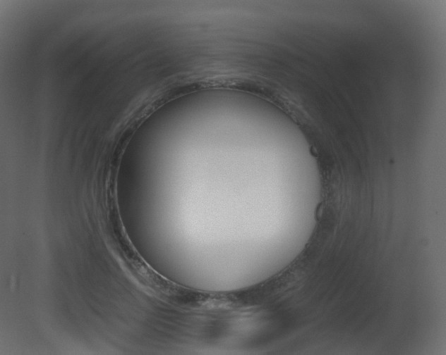 X0000081490742200701121112