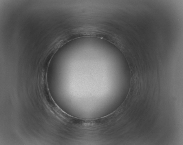 X0000081490744200701121112