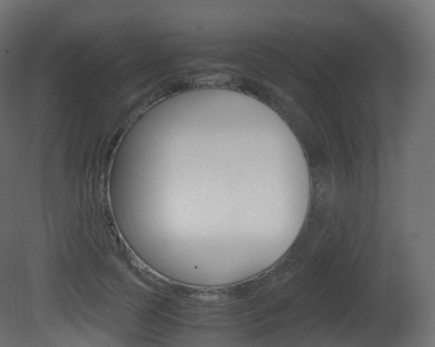 X0000081490745200701121112