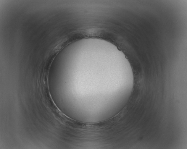 X0000081490746200701121112