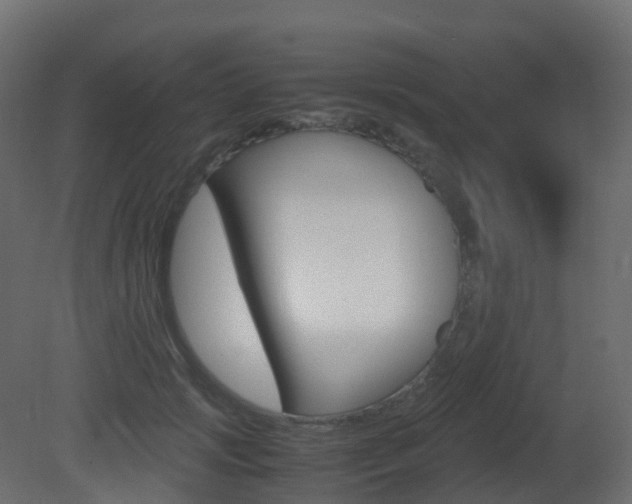 X0000081490749200701121112