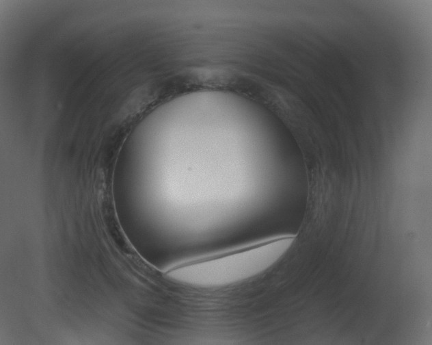 X0000081490752200701121112