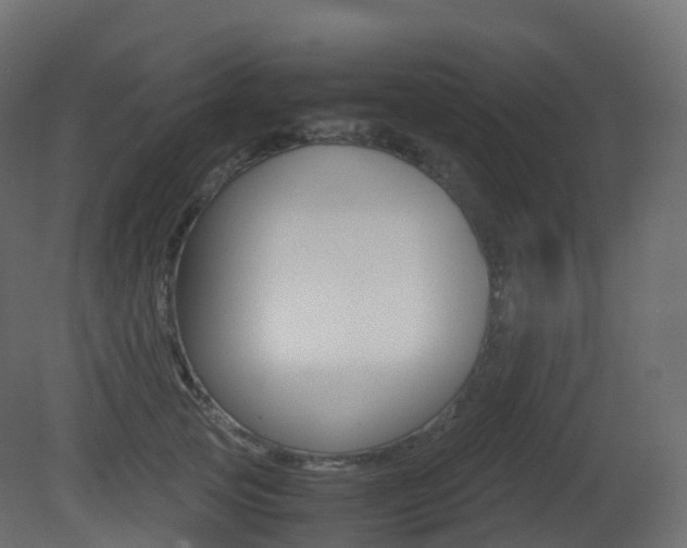 X0000081490753200701121112
