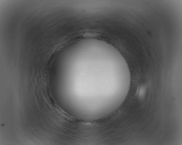 X0000081490755200701121112