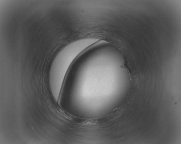 X0000081490756200701121112