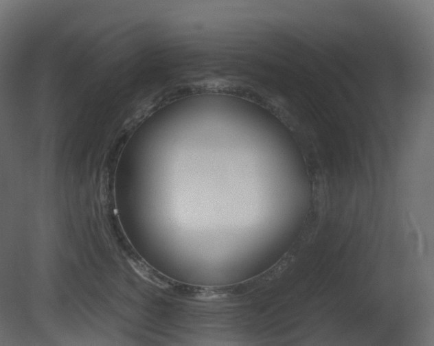 X0000081490760200701121112
