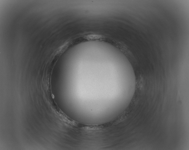 X0000081490763200701121112