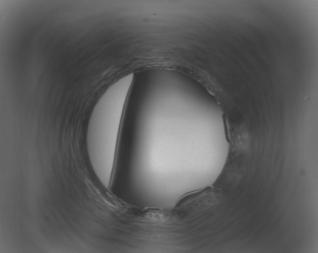 X0000081490764200701121112