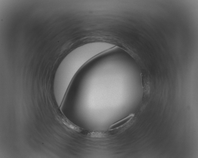 X0000081490766200701121112