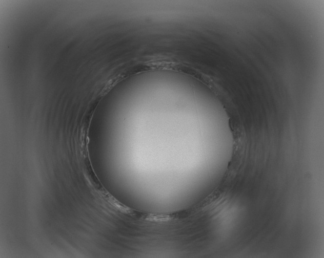 X0000081490767200701121112