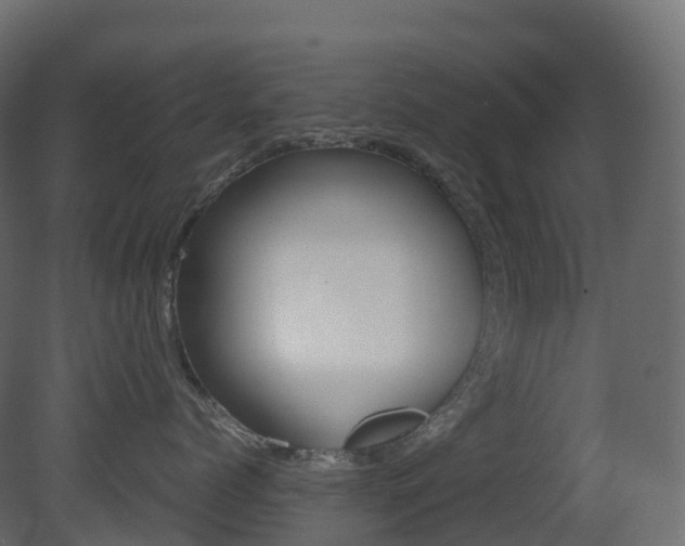 X0000081490768200701121112