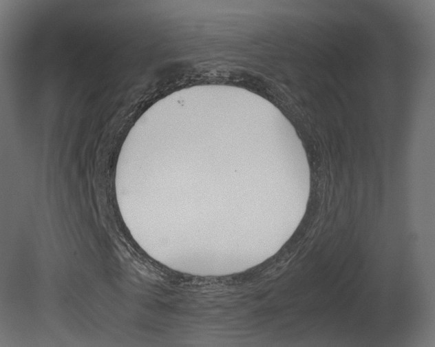 X0000081490769200701121111