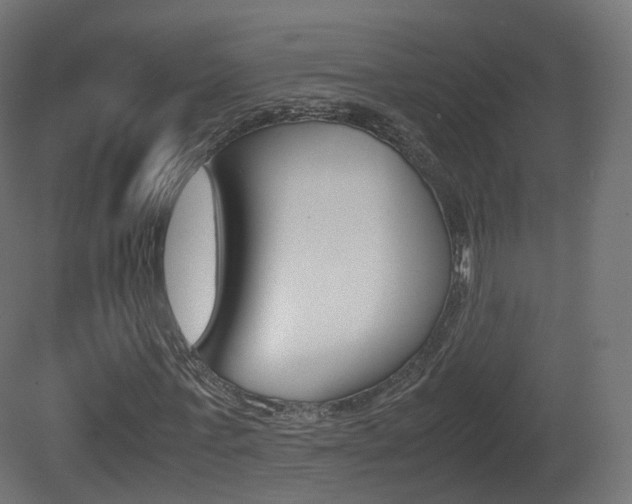 X0000081490771200701121111
