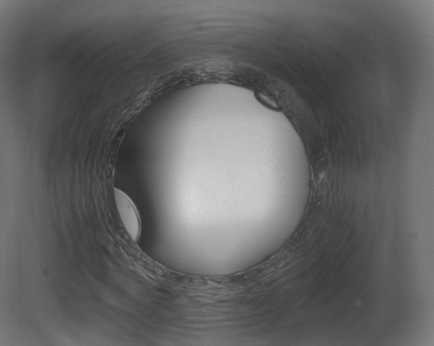 X0000081490772200701121111
