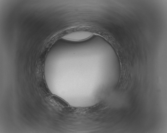 X0000081490773200701121111