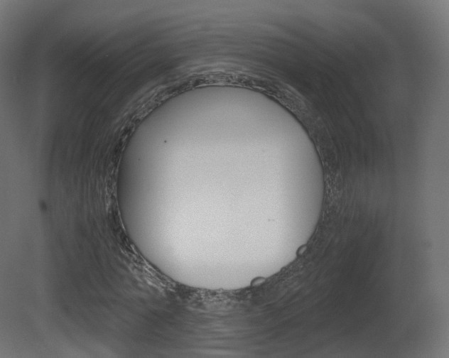 X0000081490774200701121111