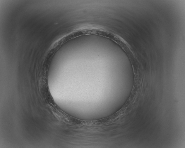 X0000081490775200701121111