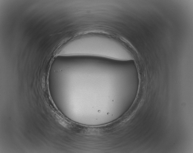 X0000081490777200701121111