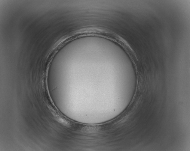 X0000081490778200701121111