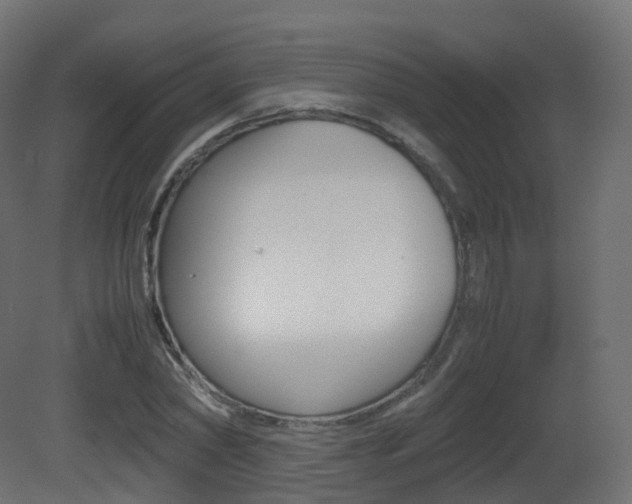 X0000081490782200701121111