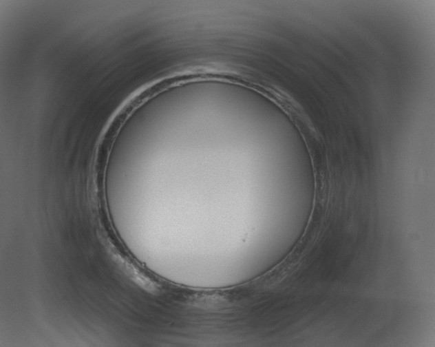 X0000081490784200701121111
