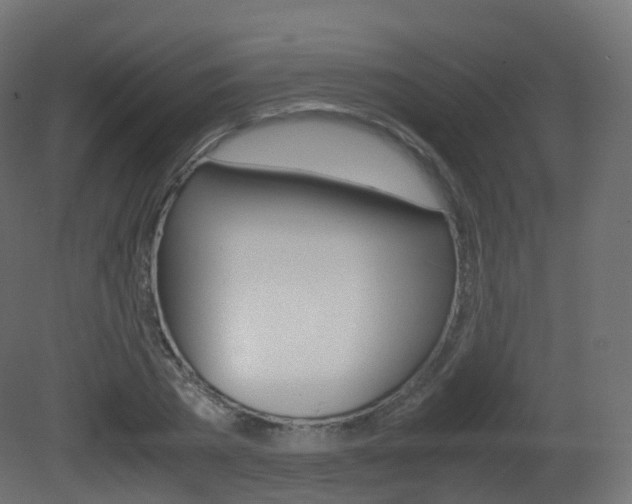 X0000081490785200701121111