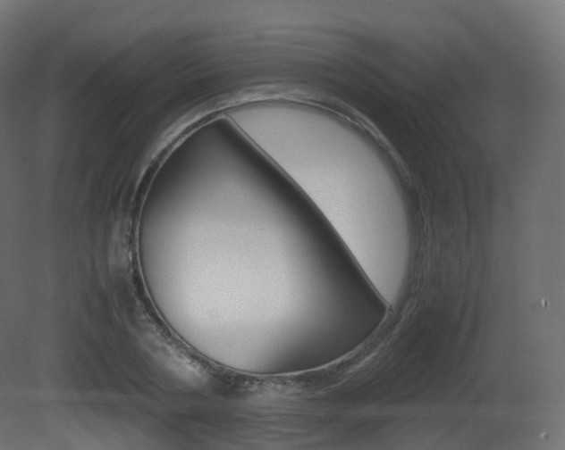 X0000081490786200701121111