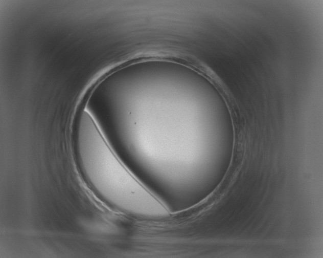 X0000081490787200701121111