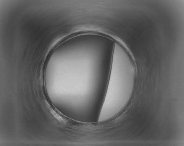 X0000081490791200701121111