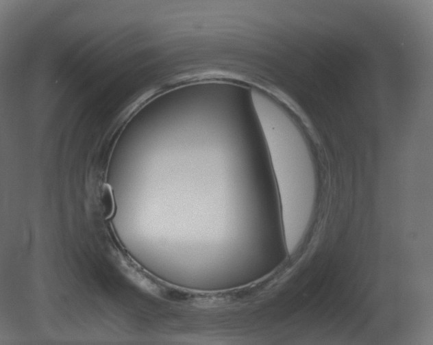 X0000081490793200701121111
