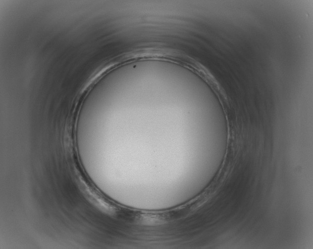 X0000081490794200701121111