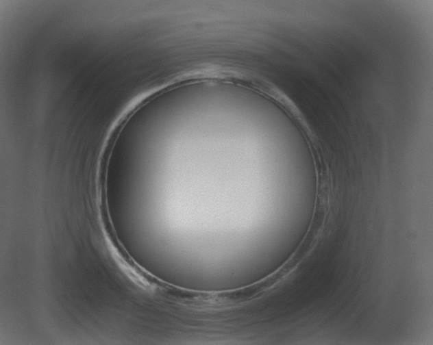X0000081490795200701121111