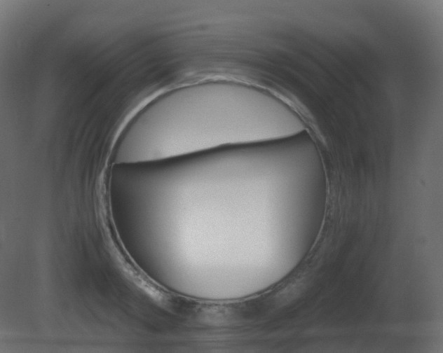 X0000081490798200701121111
