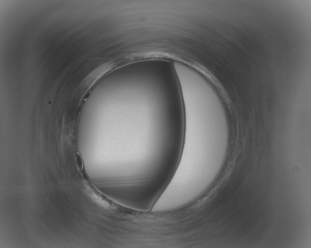 X0000081490801200701121111